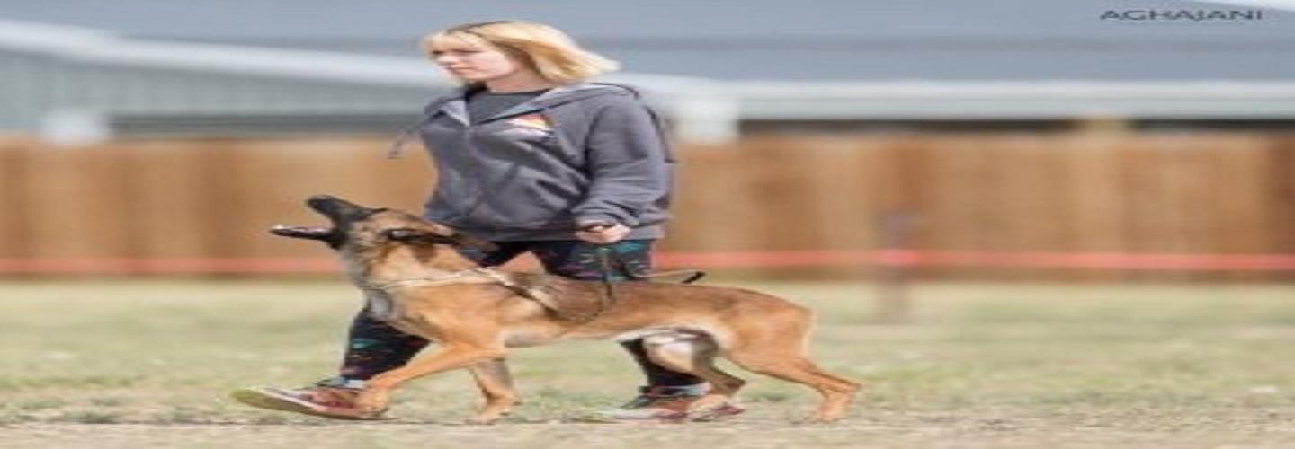 Dog Dynamix Ohio cover photo