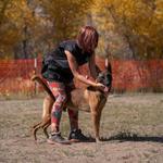 Dog Dynamix Ohio - photo 3