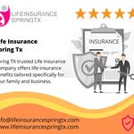 Life Insurance Spring Tx - photo 4