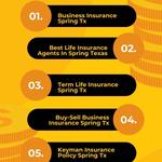 Life Insurance Spring Tx - photo 7