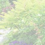 Amtex Pest Solutions - photo 1