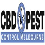 CBD Rodent Control Melbourne