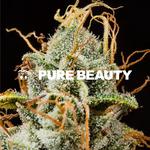 Airfield Supply Co. - photo 7