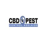 CBD Rodent Control Adelaide