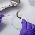 The Body Balanced – Health Program - photo 2