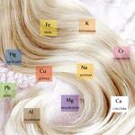 The Body Balanced – Health Program - photo 3