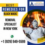 World Famous Astrologer in New York - photo 6