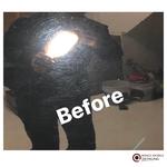 Wings Mobile Detailing - photo 2