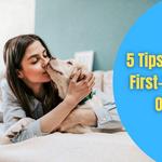 Petdogplanet - photo 10