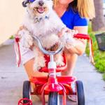 Big Bam eBikes - photo 2