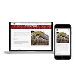 Bailey Business Solutions - photo 2