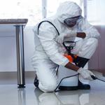 Best Pest Control Companies Sydney - photo 1
