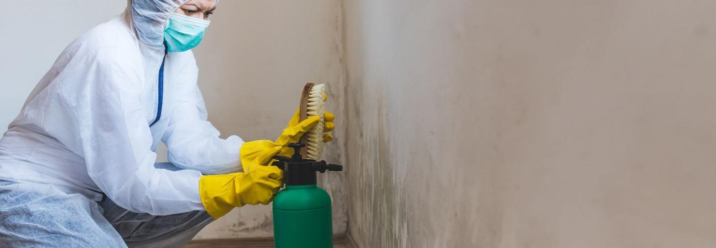 Hostess City Mold Inspection cover photo