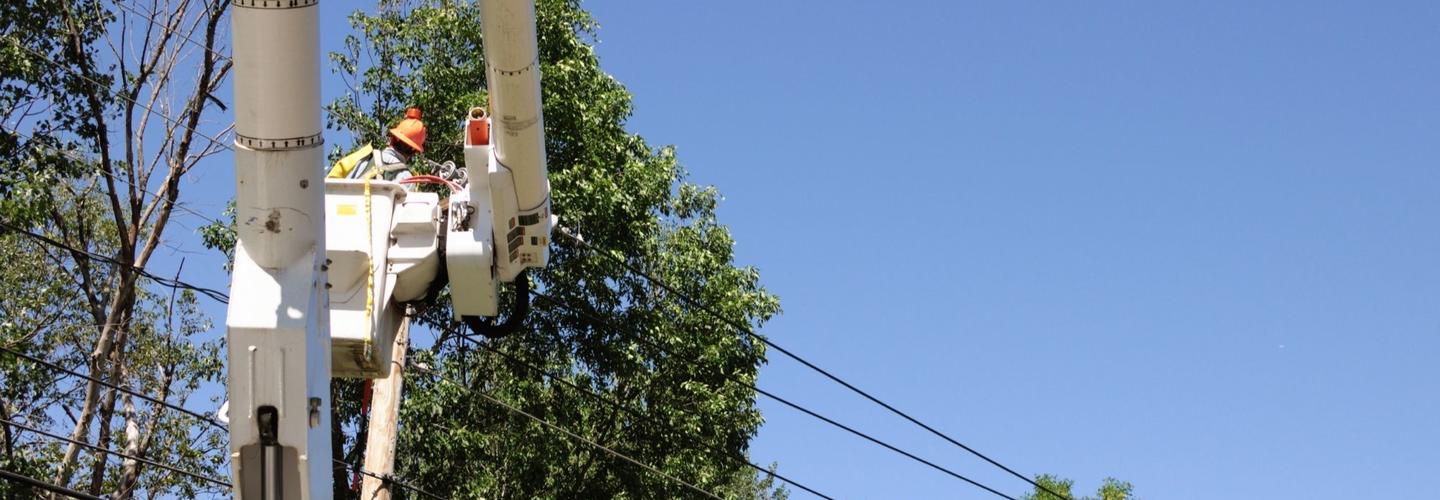 The Peak of Good Living Tree Service cover photo