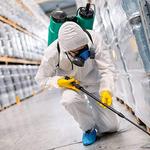 Pest Control Canberra - photo 2