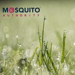 Mosquito Authority-Indialantic, FL - photo 7