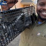 WildHawk Elite Wildlife Services - photo 4