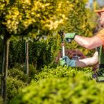 Waterway Tree Service - photo 2