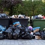  Jupiter Dumpster Rental by Precision Disposal - photo 4