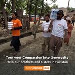 Penny Appeal - photo 6