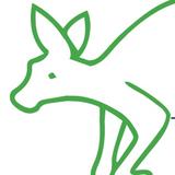 Kangaroo Paw - Gardening & Landscaping Services Company - Gardeners in Sydney