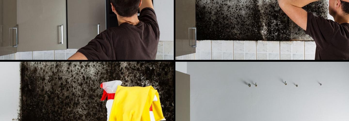 Valley City Mold Removal vewqa cover photo