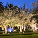 Majestic Light Design - photo 2