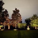 Majestic Light Design - photo 5