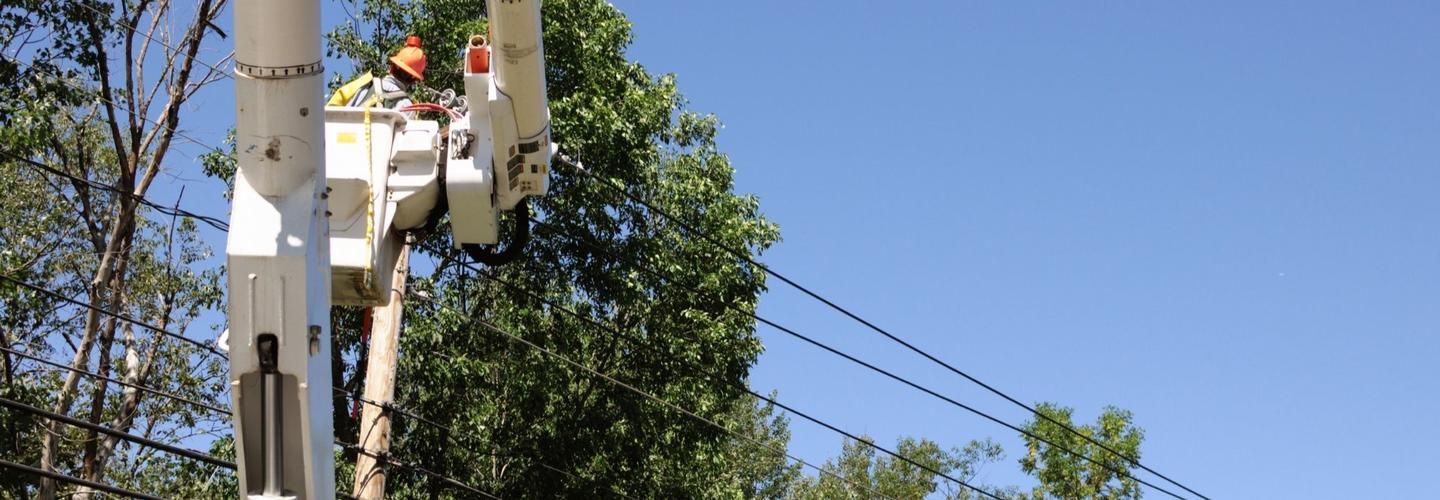 Treasure Valley Tree Service cover photo