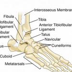 Par4Success Physical Therapy Morrisville - photo 2