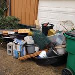 Junk It All - photo 3