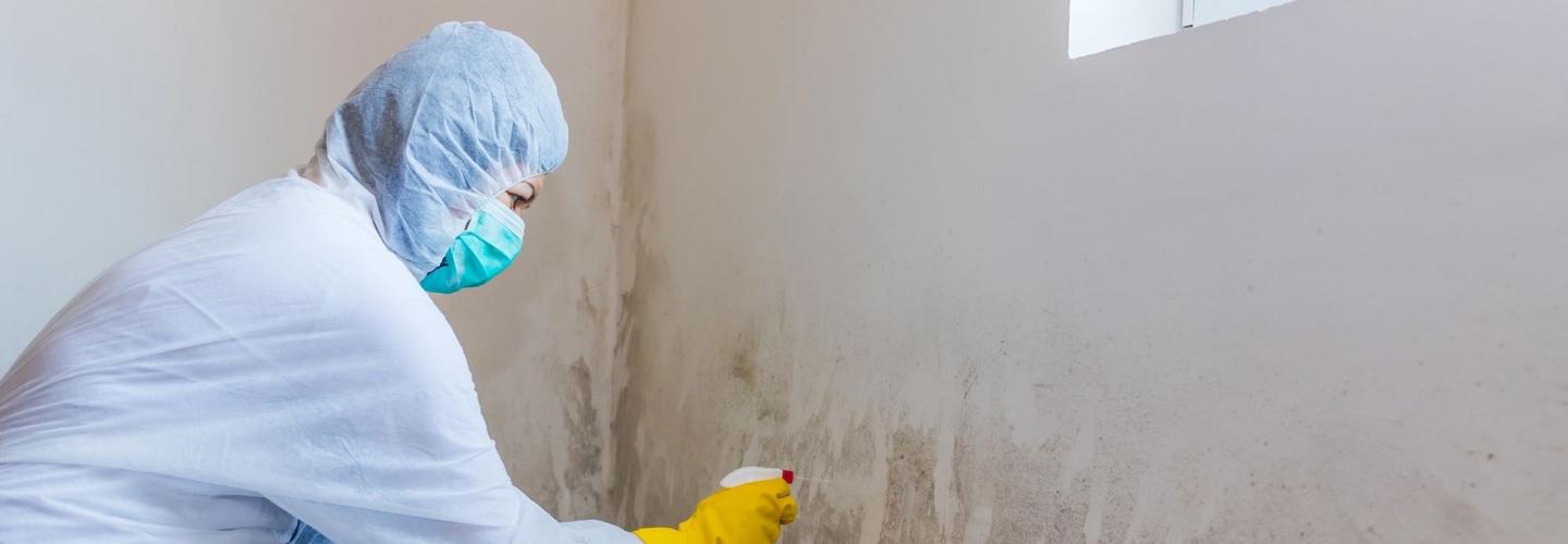 Jamaica Hill Mold Inspection Co cover photo