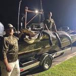 Southern Expeditions - photo 1