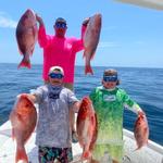 Southern Expeditions - photo 3