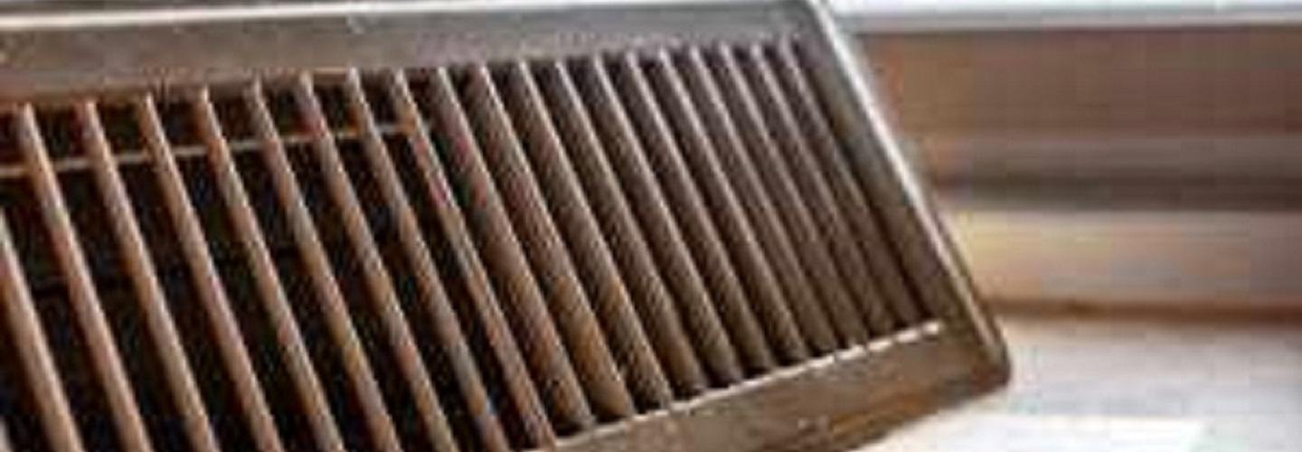 Pure Home Daytona cover photo