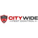 City Wide Cockroach Control Sydney
