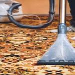 Rug Cleaning Canberra - photo 1