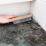 Rug Cleaning Canberra - photo 3