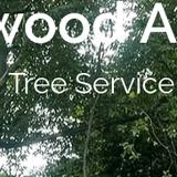 Knightwood Arborists Tree Service - Tree Services