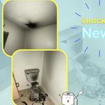 Northside Plumbing - photo 2