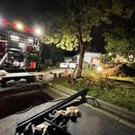 I Love Sewers Rooter and Plumbing - photo 3