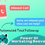 Marketing Beavers USA - photo 4