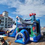 RGV Party Rentals - photo 4