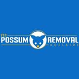 Possum Removal Adelaide