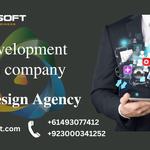 Wordpress website design services Navicosoft - photo 2