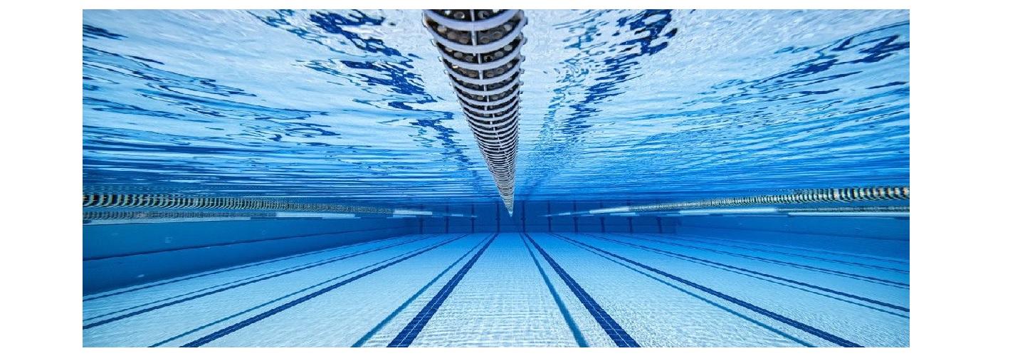 Pool Plant Experts cover photo