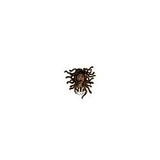 Shop Nia The Loc God - Cosmetics & Beauty Supply in Angle Inlet