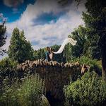 Dash Photography - photo 4