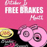 CAMS Automotive - photo 10