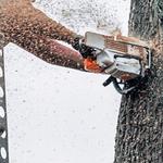 Leather City Tree Service - photo 1